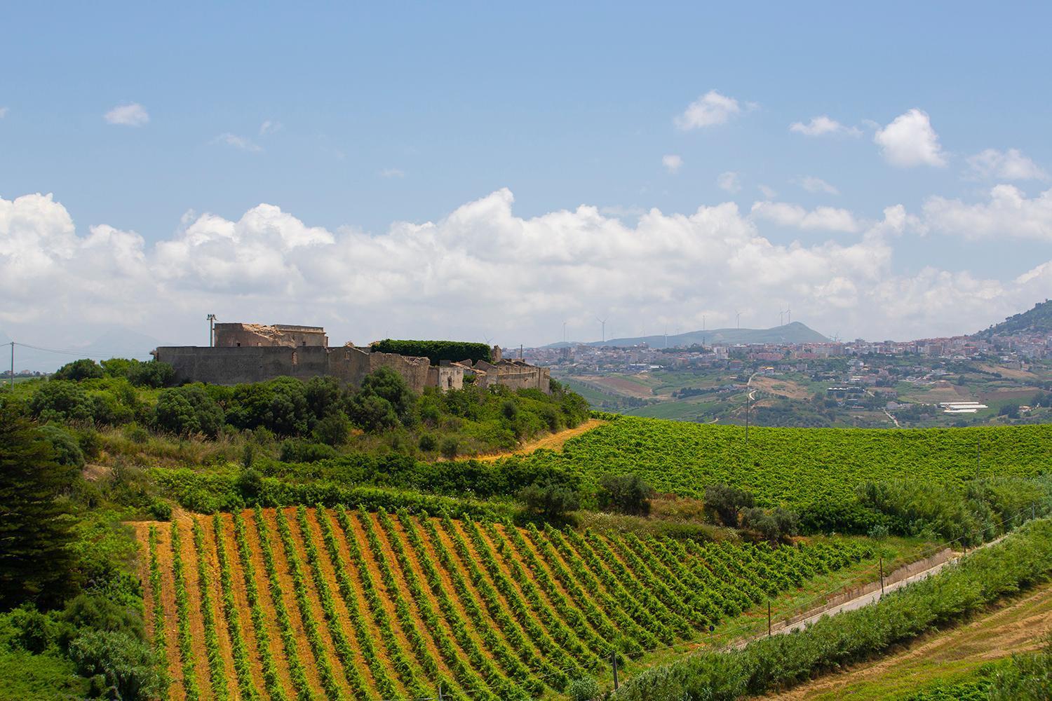 Villa Alessandro Castellammare del Golfo Buitenkant foto